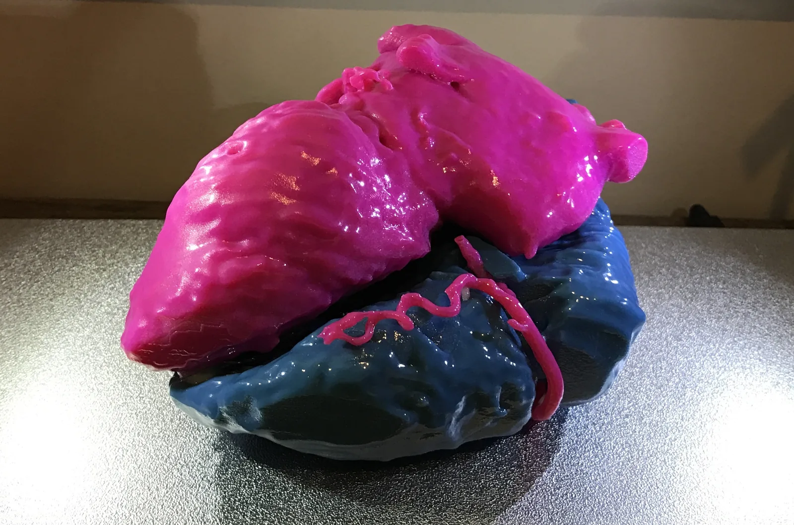 The finished 3D printed heart